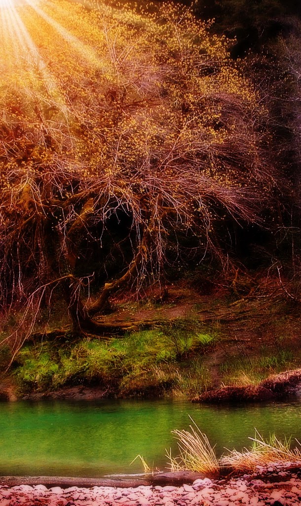 Otherworld Inspiration, Tribute for $0.99, and Interview Tomorrow