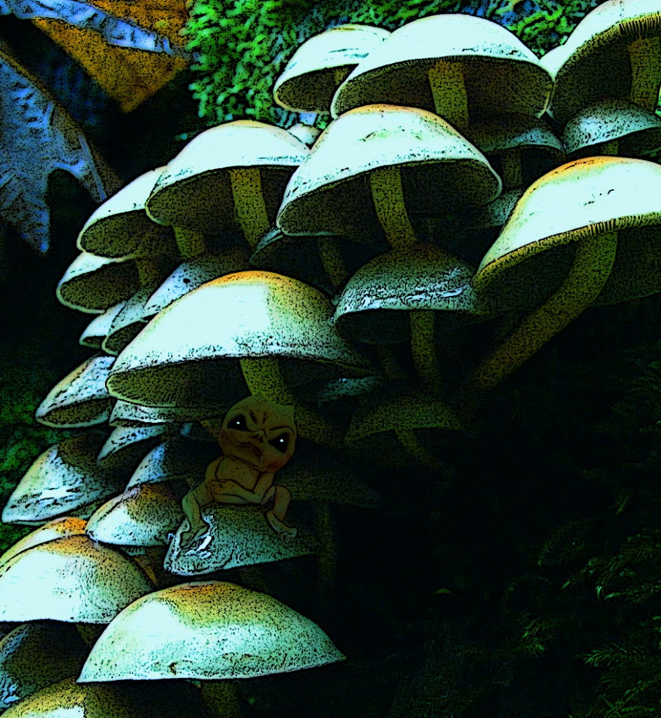 Otherworld Inspiration: A Gnome for Lauralynn