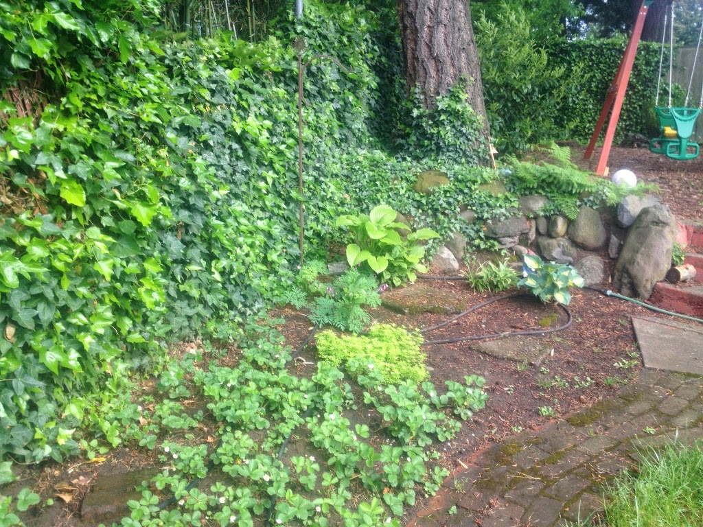 Tending Your Writer Garden: the Old & the New
