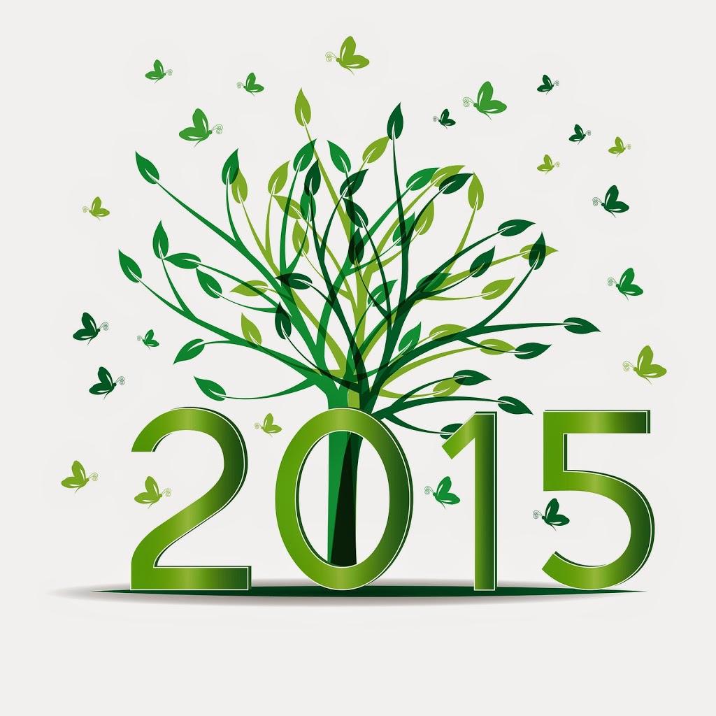 2014 Was Interesting — Onward to 2015!!